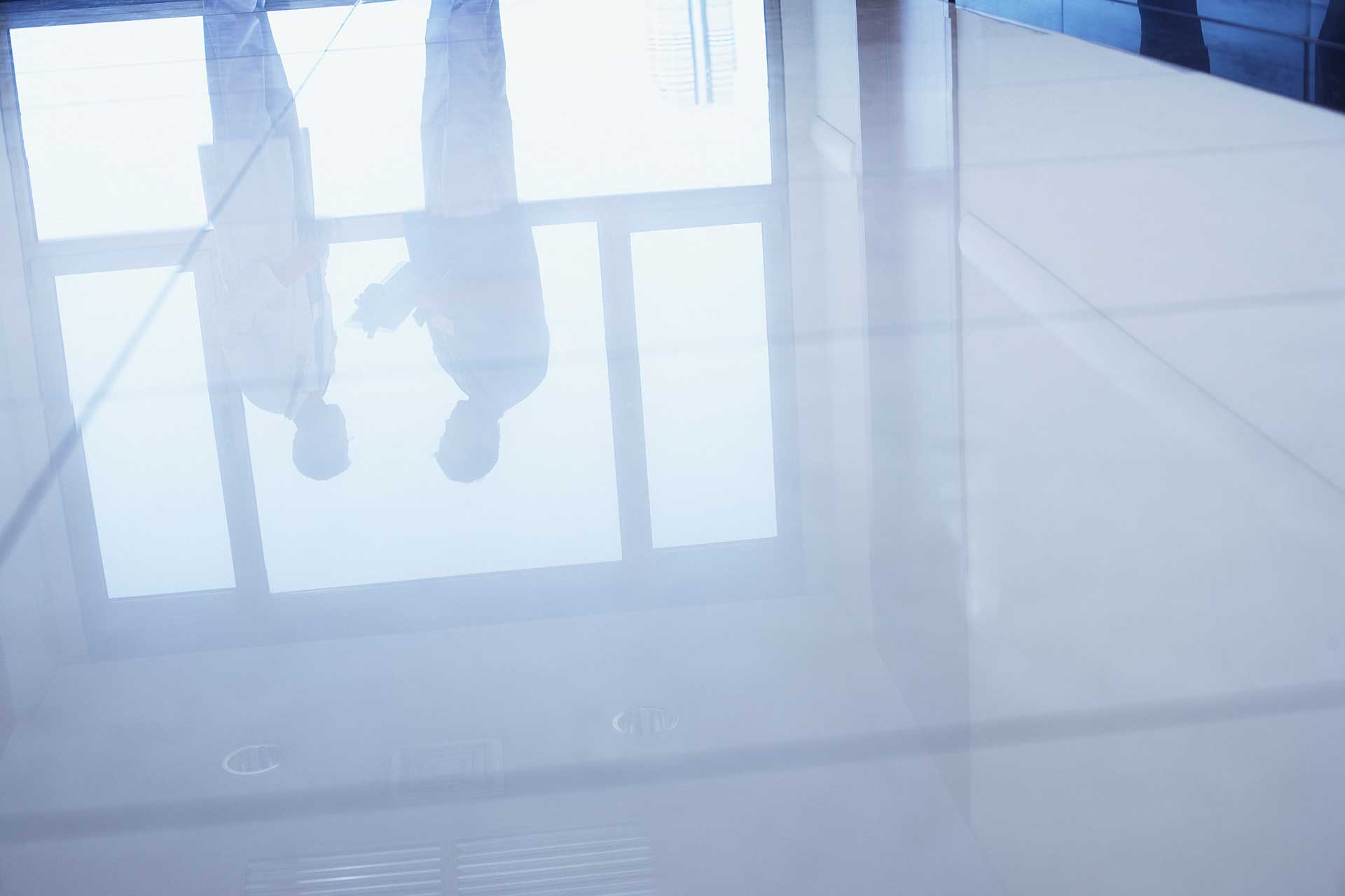 Direktorium - Titelbild